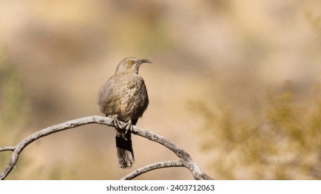 多寶彩票官网安全性分析:如何保障你的购彩信息与资金安全 多寶彩票官网安全性分析:如何保障你的购彩信息与资金安全