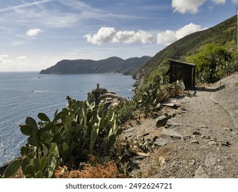 塞班岛文化娱乐活动:传统表演与当地节庆活动介绍 塞班岛文化娱乐活动:传统表演与当地节庆活动介绍