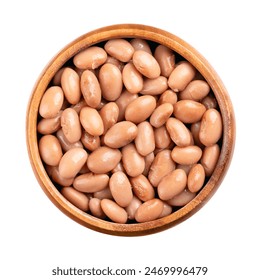 大嬴家的文化传承:家族价值观对后代的影响与启示 大嬴家的文化传承:家族价值观对后代的影响与启示