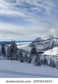 在豪博娱乐中寻找乐趣:顶级游戏与服务的完美融合 在豪博娱乐中寻找乐趣:顶级游戏与服务的完美融合