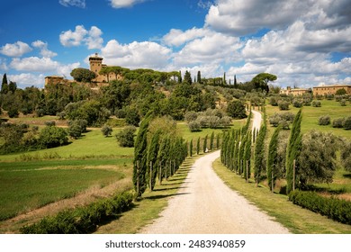 3D2025117期开奖号码公布及最新结果查询