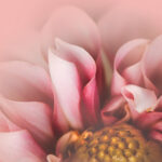 18018期彩票开奖结果查询与最新中奖详情 43mudo