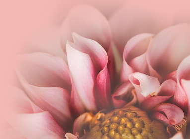 18018期彩票开奖结果查询与最新中奖详情