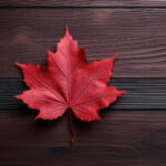 3D211期开奖结果最新公布与详细数据分析 8eo779s7n1