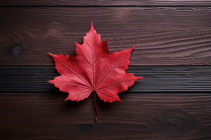 3D211期开奖结果最新公布与详细数据分析 3D211期开奖结果最新公布与详细数据分析