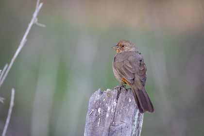 18007期体育彩票开奖结果查询与最新号码公布 18007期体育彩票开奖结果查询与最新号码公布