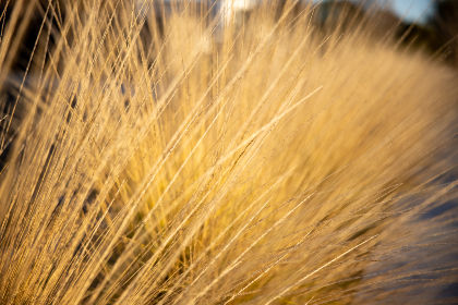 18022期开奖结果公布，最新中奖号码全面揭晓