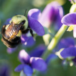 3d2025167期开奖结果最新公布中奖号码查询 p51qze