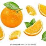 3d204期开奖结果最新公布,中奖号码全面揭晓 uq3hq7j