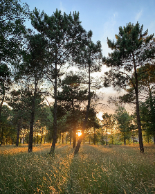 18008期开奖结果震撼揭晓，大奖花落谁家？
